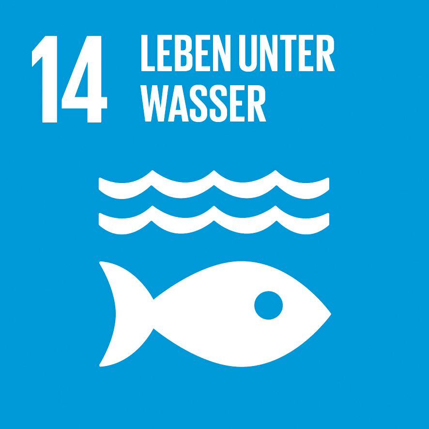 SDG 14 - Leben unter Wasser